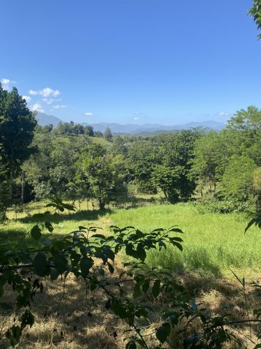 Buena Vista Jarabacoa