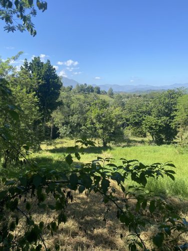 Buena Vista Jarabacoa