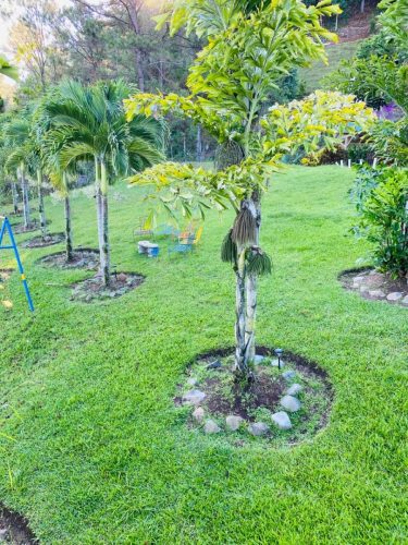 Terreno a la misma altura del Restaurant Jamaca de Dios