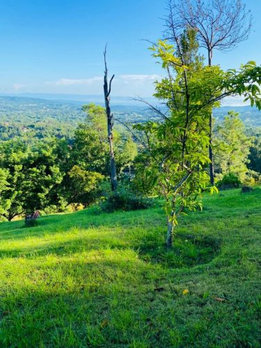 Terreno en lo más alto de Jarabacoa, Republica Dominicana