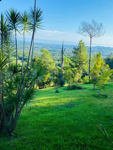 Terreno a la misma altura del Restaurant Jamaca de Dios