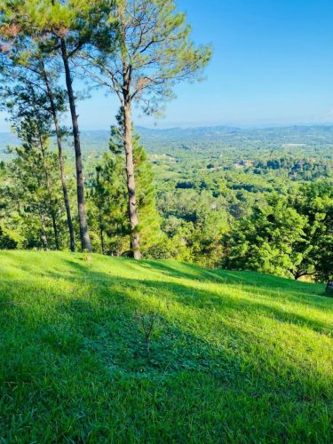 Terreno a la misma altura del Restaurant Jamaca de Dios