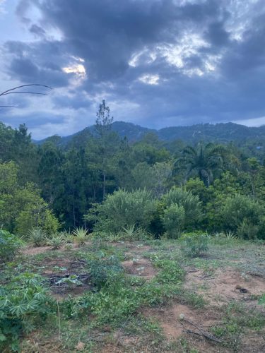 Terreno en la Avenida La Confluencia Jarabacoa, con Arboles Frutales.