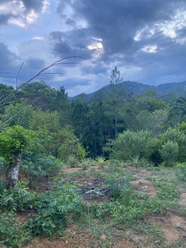 Terreno en la Avenida La Confluencia Jarabacoa, con Arboles Frutales.