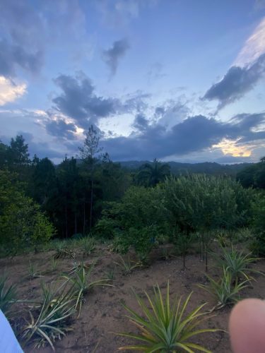 Terreno en la Avenida La Confluencia Jarabacoa, con Arboles Frutales.