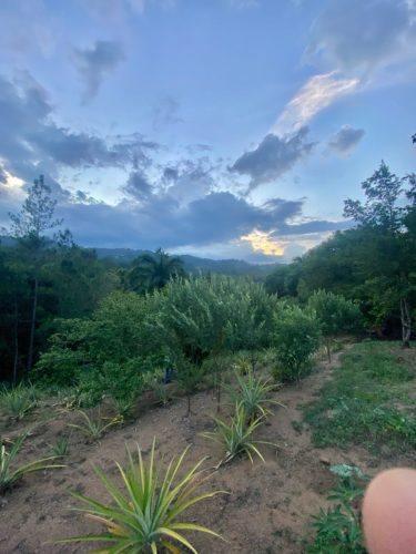 Terreno en la Avenida La Confluencia Jarabacoa, con Arboles Frutales.