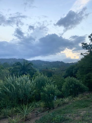 Terreno en la Avenida La Confluencia Jarabacoa, con Arboles Frutales.